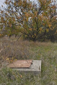 Земля сельскохозяйственного назначения в Черноморске, район Молодежное, площадь 17 соток фото 2 Земля сельскохозяйственного назначения в Черноморске, район Молодежное, площадь 17 соток фото 2