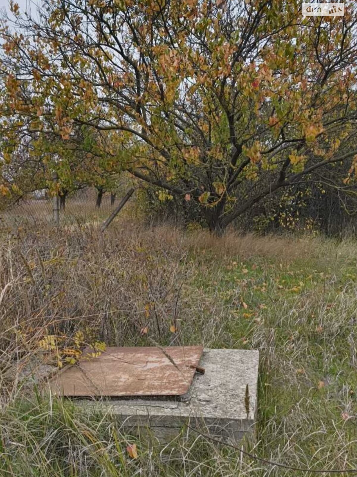 Земля сельскохозяйственного назначения в Черноморске, район Молодежное, площадь 17 соток фото 1 Земля сельскохозяйственного назначения в Черноморске, район Молодежное, площадь 17 соток фото 1