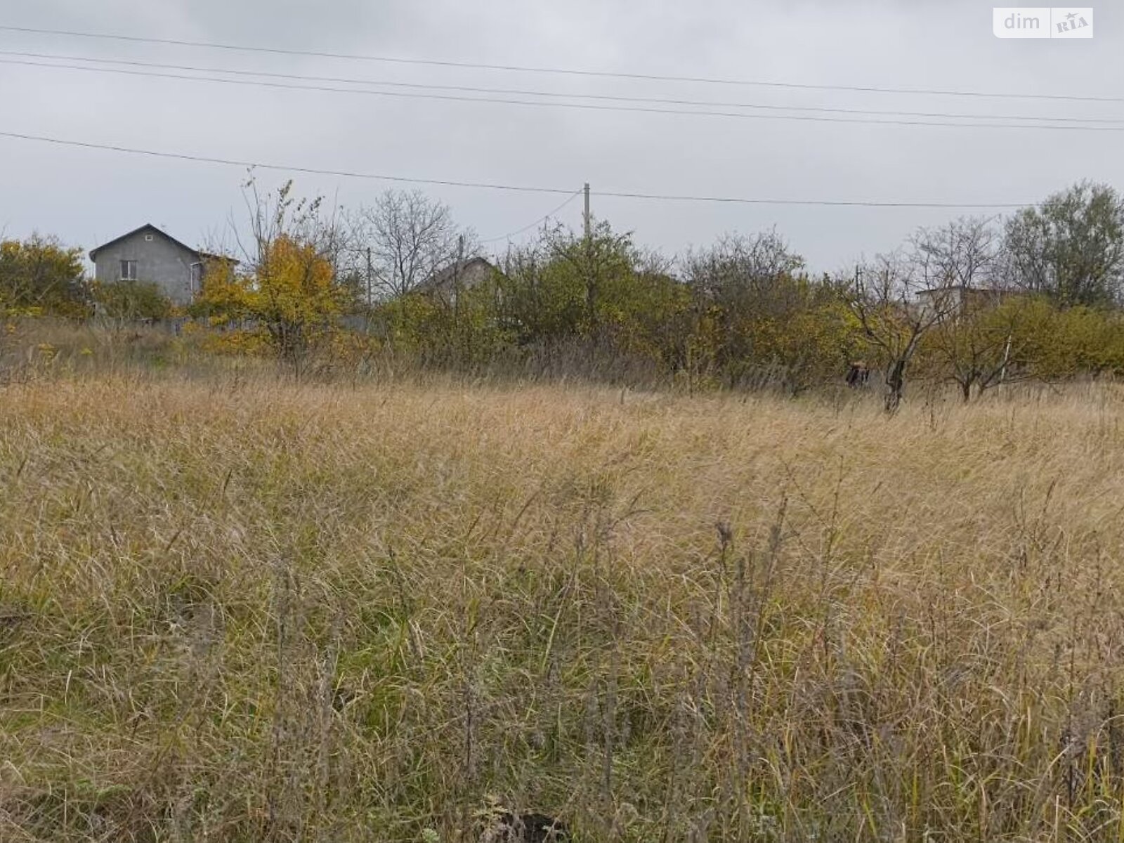 Земля сельскохозяйственного назначения в Черноморске, район Молодежное, площадь 17 соток фото 1 Земля сельскохозяйственного назначения в Черноморске, район Молодежное, площадь 17 соток фото 1