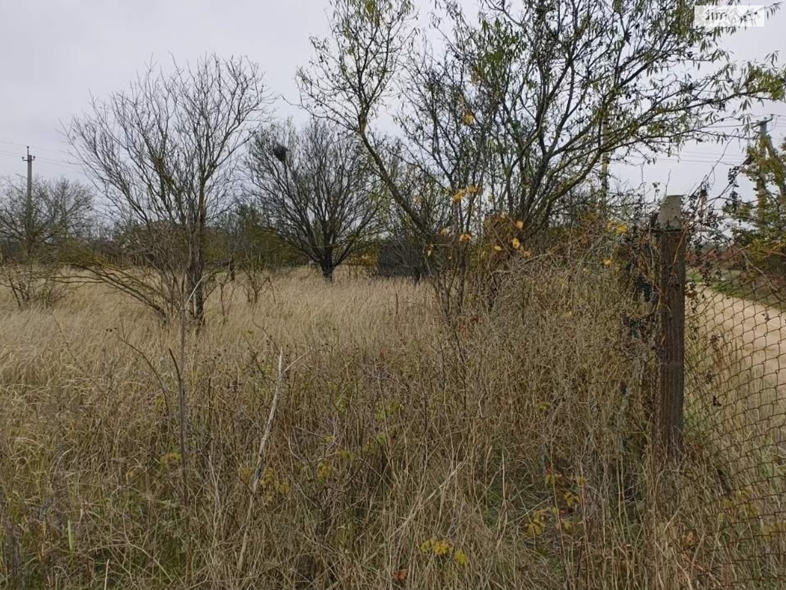 Земля сельскохозяйственного назначения в Черноморске, район Молодежное, площадь 17 соток фото 1 Земля сельскохозяйственного назначения в Черноморске, район Молодежное, площадь 17 соток фото 1