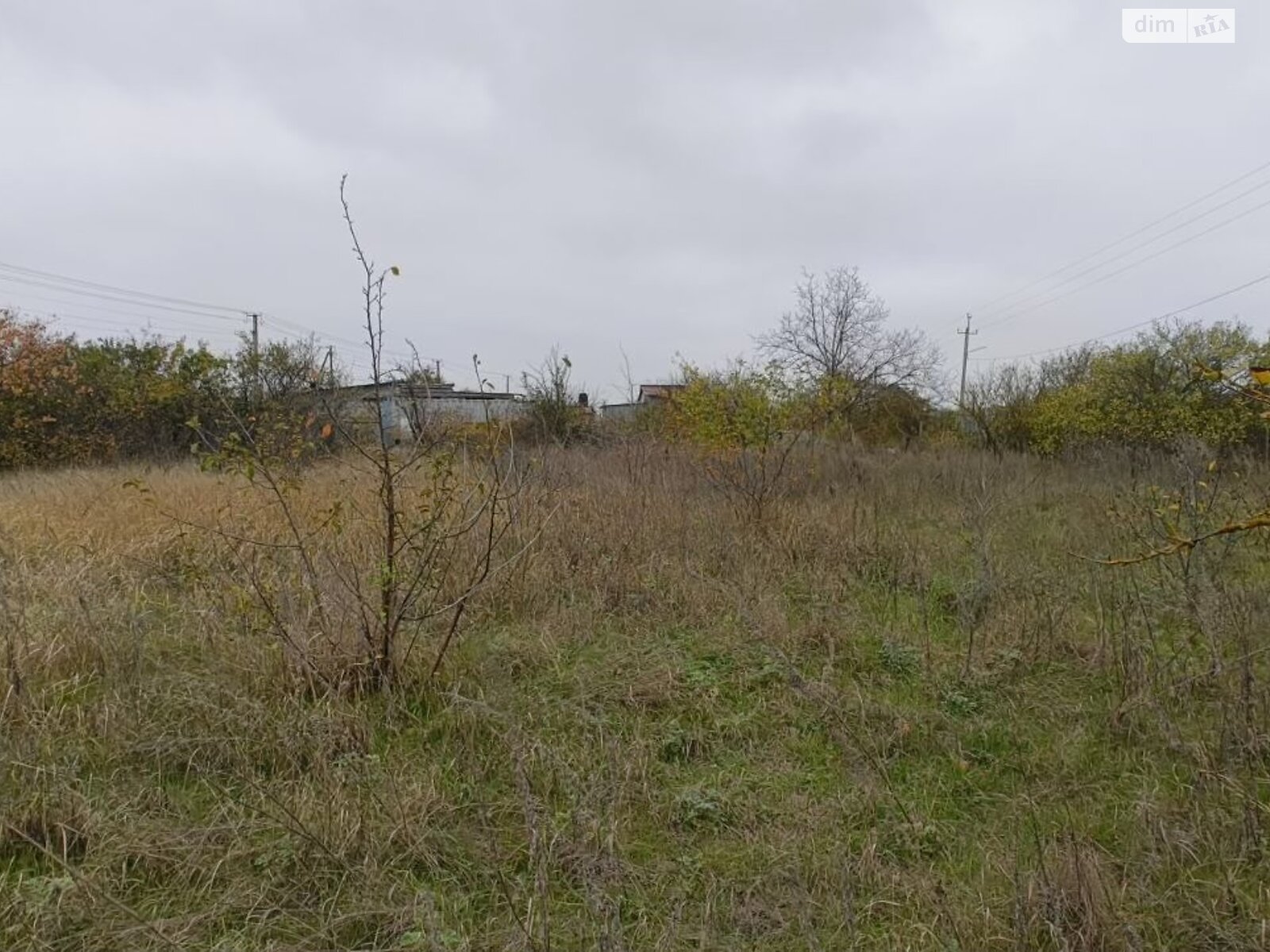 Земля сельскохозяйственного назначения в Черноморске, район Молодежное, площадь 17 соток фото 1 Земля сельскохозяйственного назначения в Черноморске, район Молодежное, площадь 17 соток фото 1