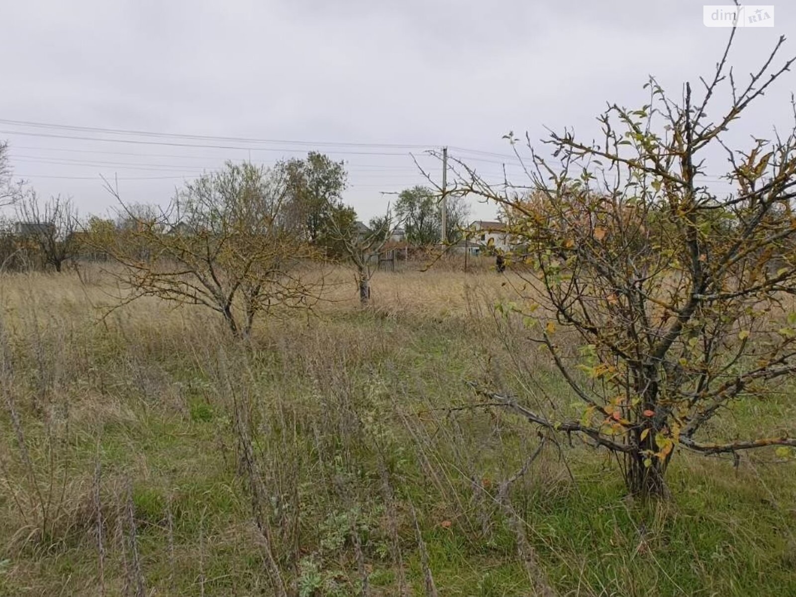 Земля сельскохозяйственного назначения в Черноморске, район Молодежное, площадь 17 соток фото 1 Земля сельскохозяйственного назначения в Черноморске, район Молодежное, площадь 17 соток фото 1