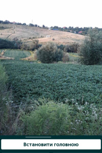 Земля сельскохозяйственного назначения в Черновцах, район Пригородная зона, площадь 15 соток фото 2
