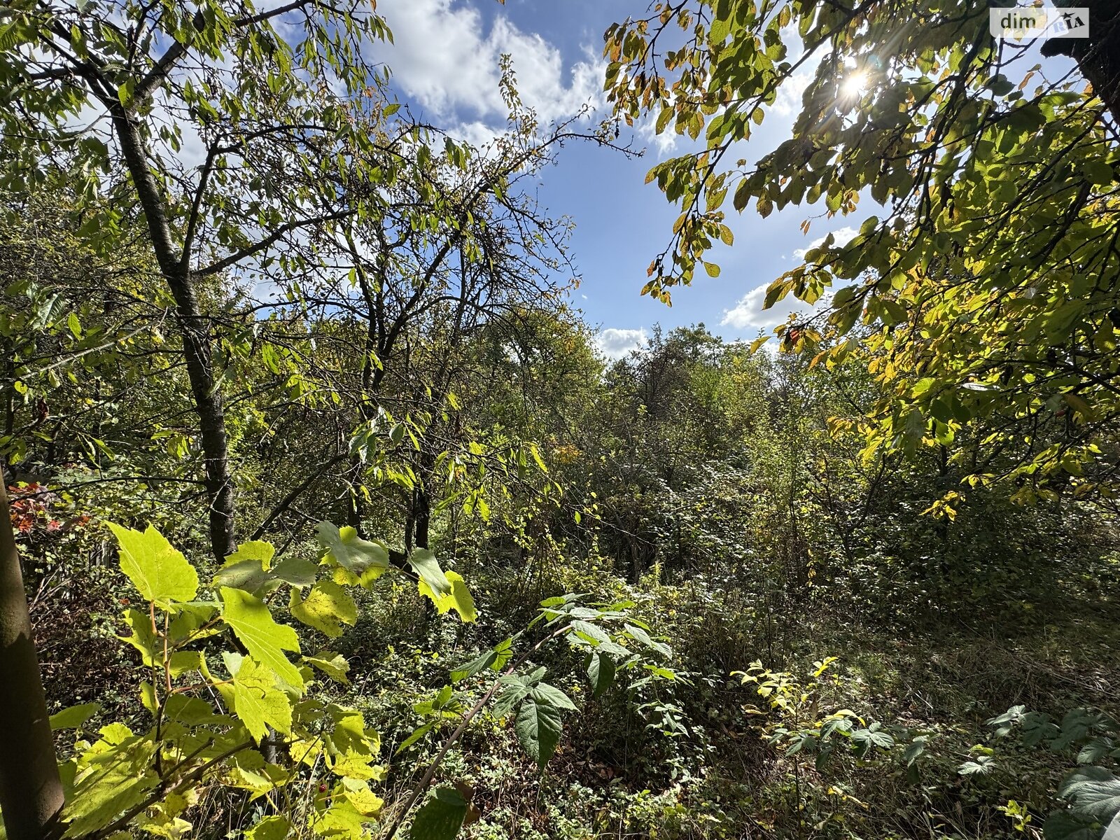Земля сільськогосподарського призначення в Чернівцях, район Роша, площа 6.49 сотки фото 1 Земля сільськогосподарського призначення в Чернівцях, район Роша, площа 6.49 сотки фото 1