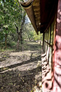 Земля сельскохозяйственного назначения в Черновцах, район Роша, площадь 4.75 сотки фото 2 Земля сельскохозяйственного назначения в Черновцах, район Роша, площадь 4.75 сотки фото 2