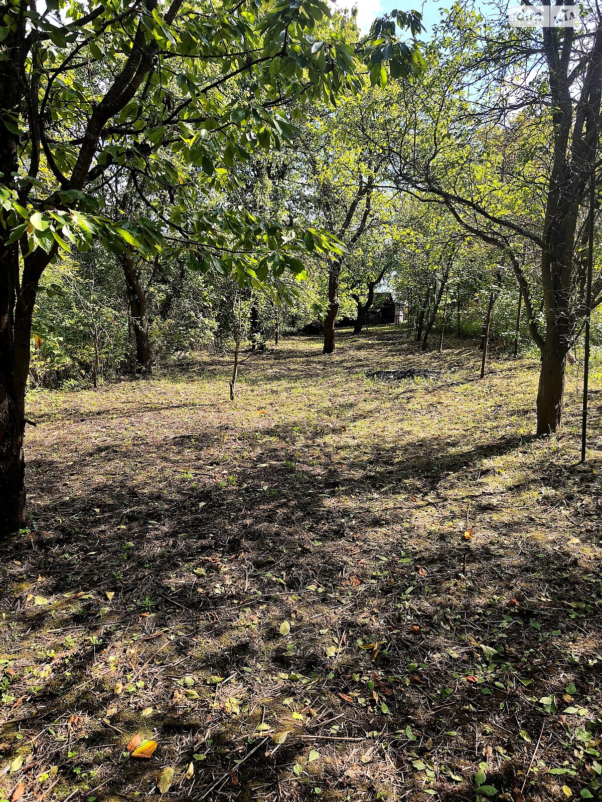 Земля сельскохозяйственного назначения в Черновцах, район Роша, площадь 4.75 сотки фото 1 Земля сельскохозяйственного назначения в Черновцах, район Роша, площадь 4.75 сотки фото 1
