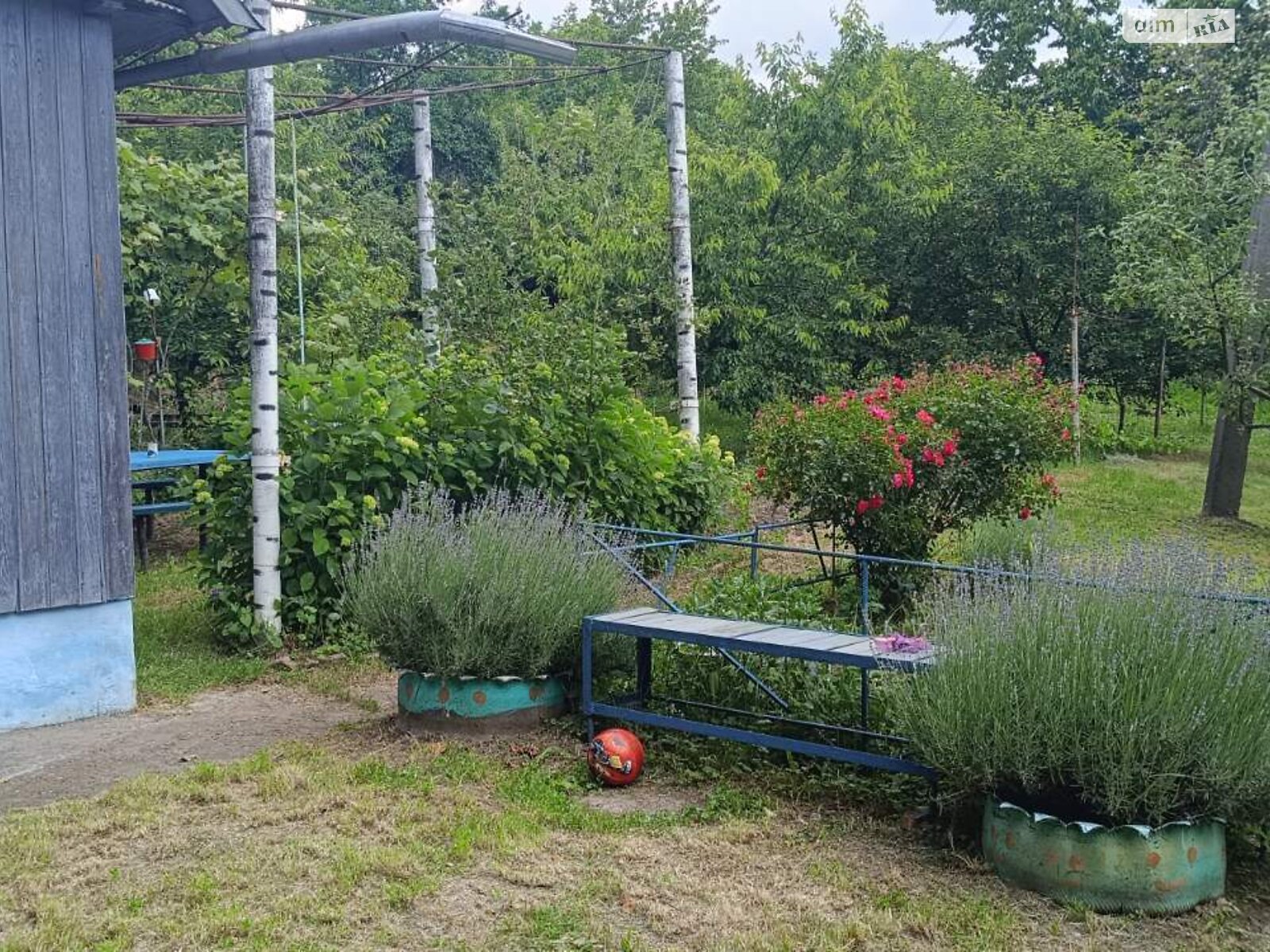 Земля сельскохозяйственного назначения в Черновцах, район Роша, площадь 10 соток фото 1 Земля сельскохозяйственного назначения в Черновцах, район Роша, площадь 10 соток фото 1