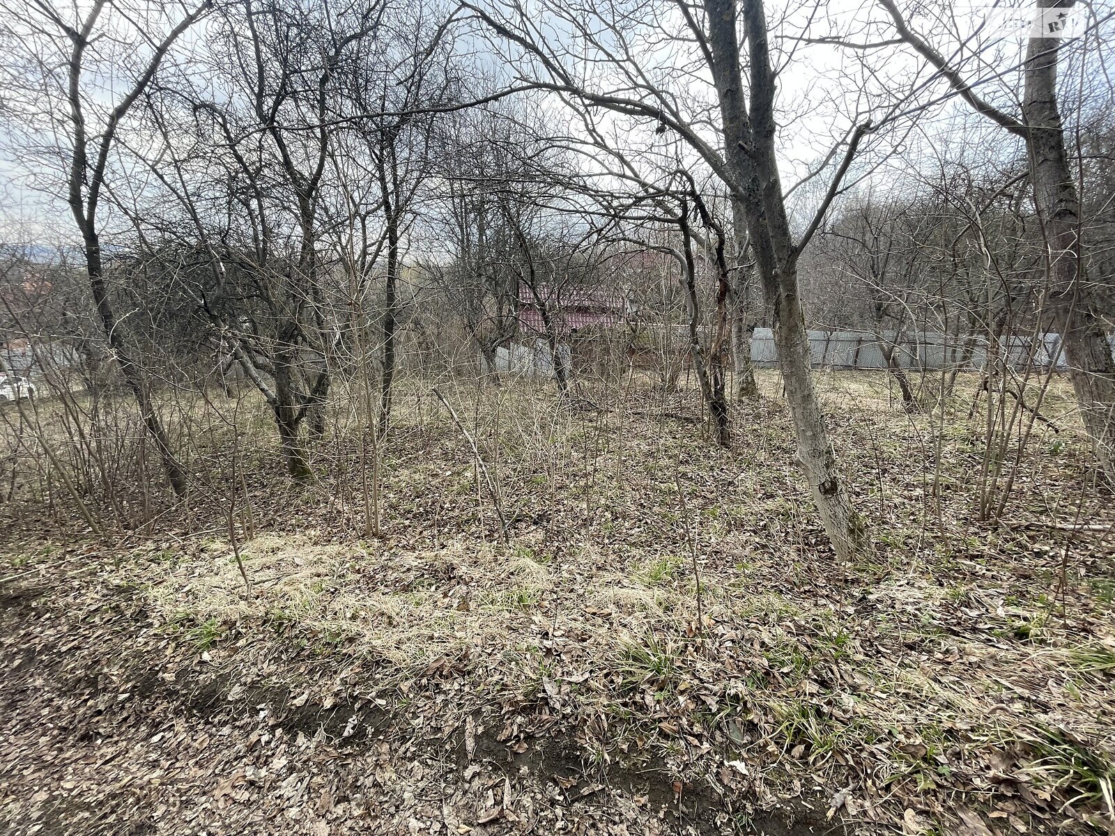 Земля сельскохозяйственного назначения в Черновцах, район Роша, площадь 6.94 сотки фото 1 Земля сельскохозяйственного назначения в Черновцах, район Роша, площадь 6.94 сотки фото 1