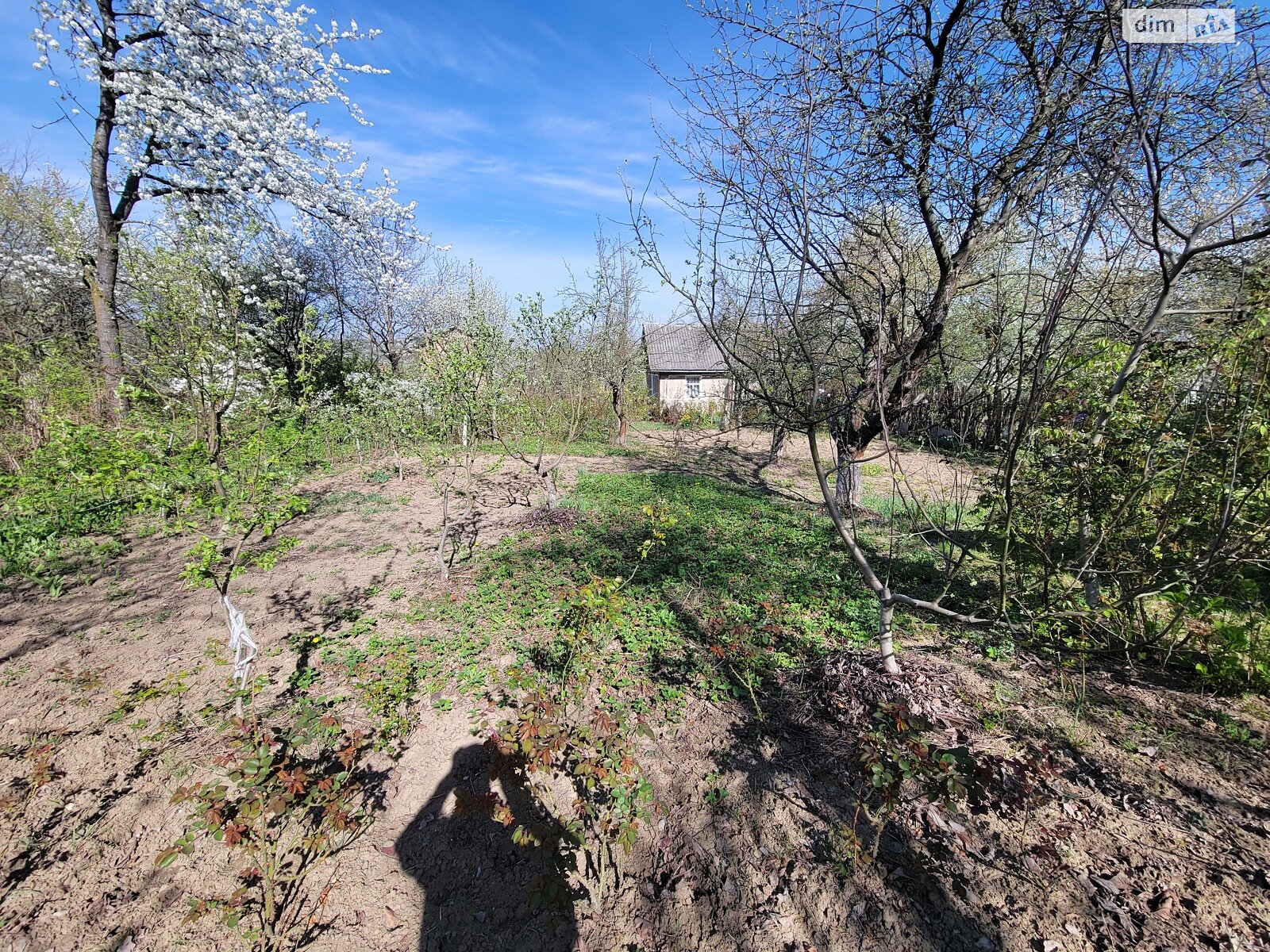 Земля сельскохозяйственного назначения в Черновцах, район Роша, площадь 6 соток фото 1