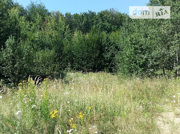 Земля сельскохозяйственного назначения в Черновцах, район Роша, площадь 4 сотки фото 1 Земля сельскохозяйственного назначения в Черновцах, район Роша, площадь 4 сотки фото 1