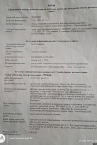 Земельна ділянка сільськогосподарського призначення в Чорному Острові, площа 1.9745 Га фото 1