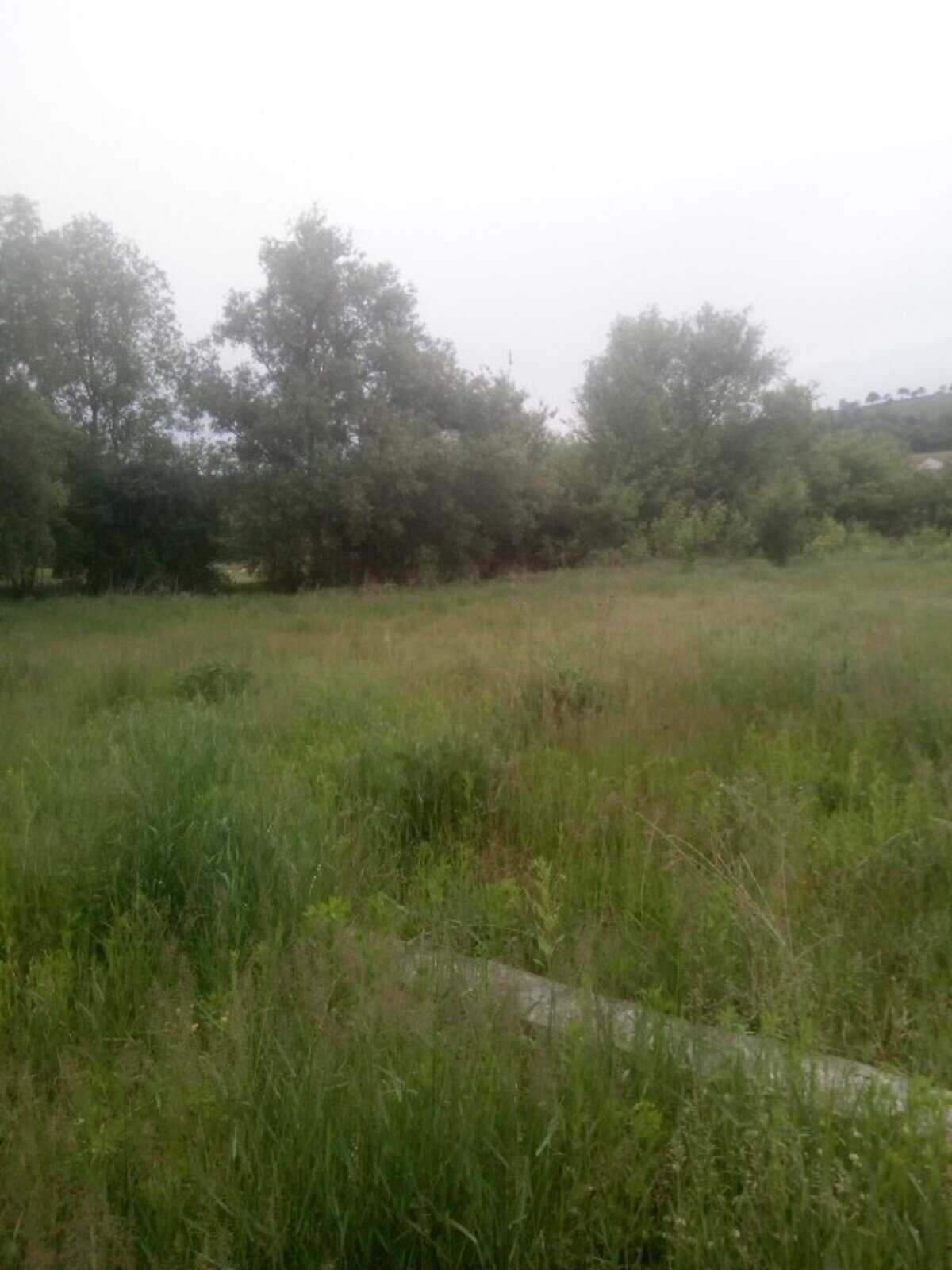 Земля сельскохозяйственного назначения в Черткове, район Чертков, площадь 14.25 сотки фото 1