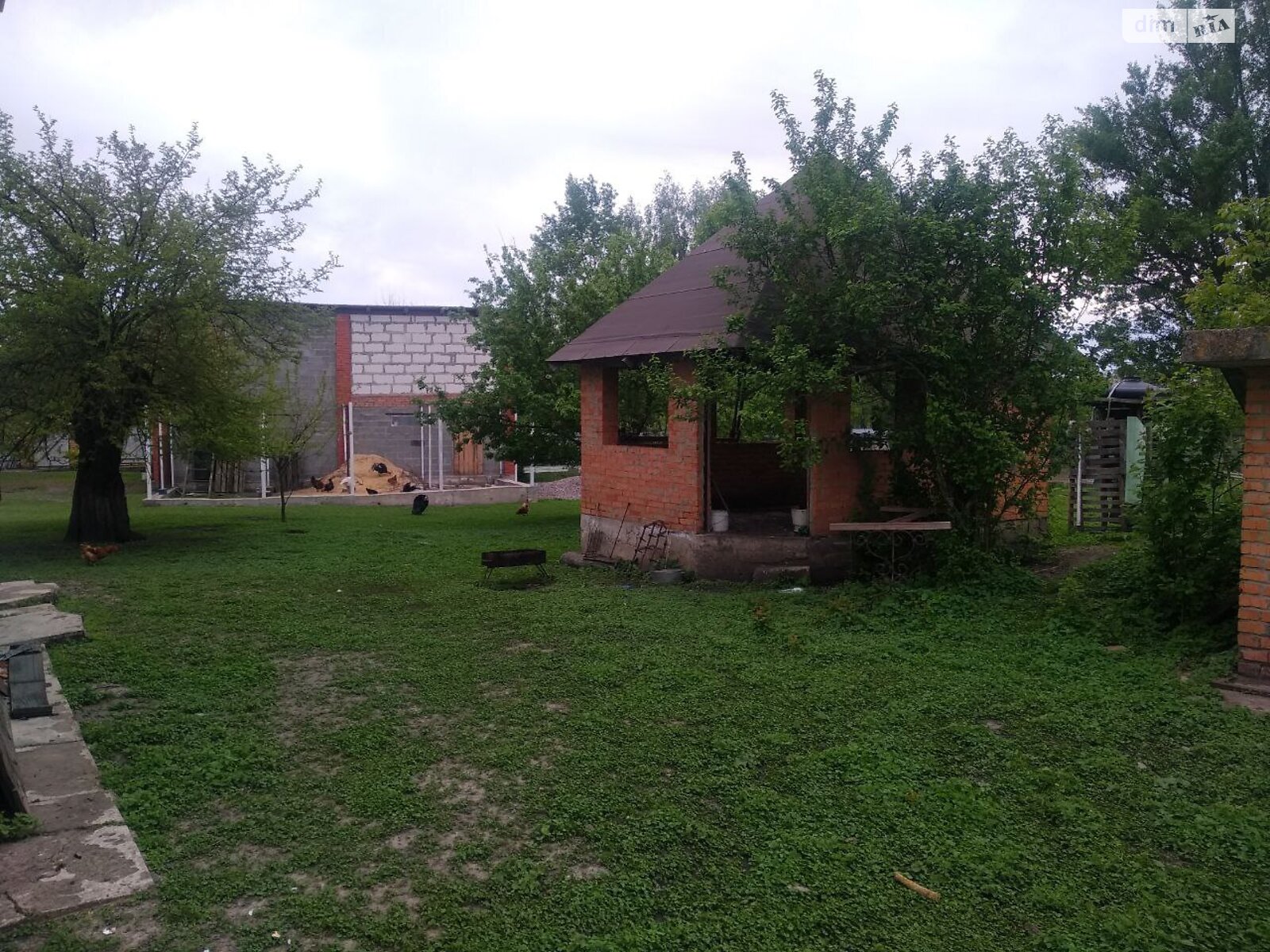 Земельна ділянка сільськогосподарського призначення в Червоне Поле, площа 40 соток фото 1 Земельна ділянка сільськогосподарського призначення в Червоне Поле, площа 40 соток фото 1