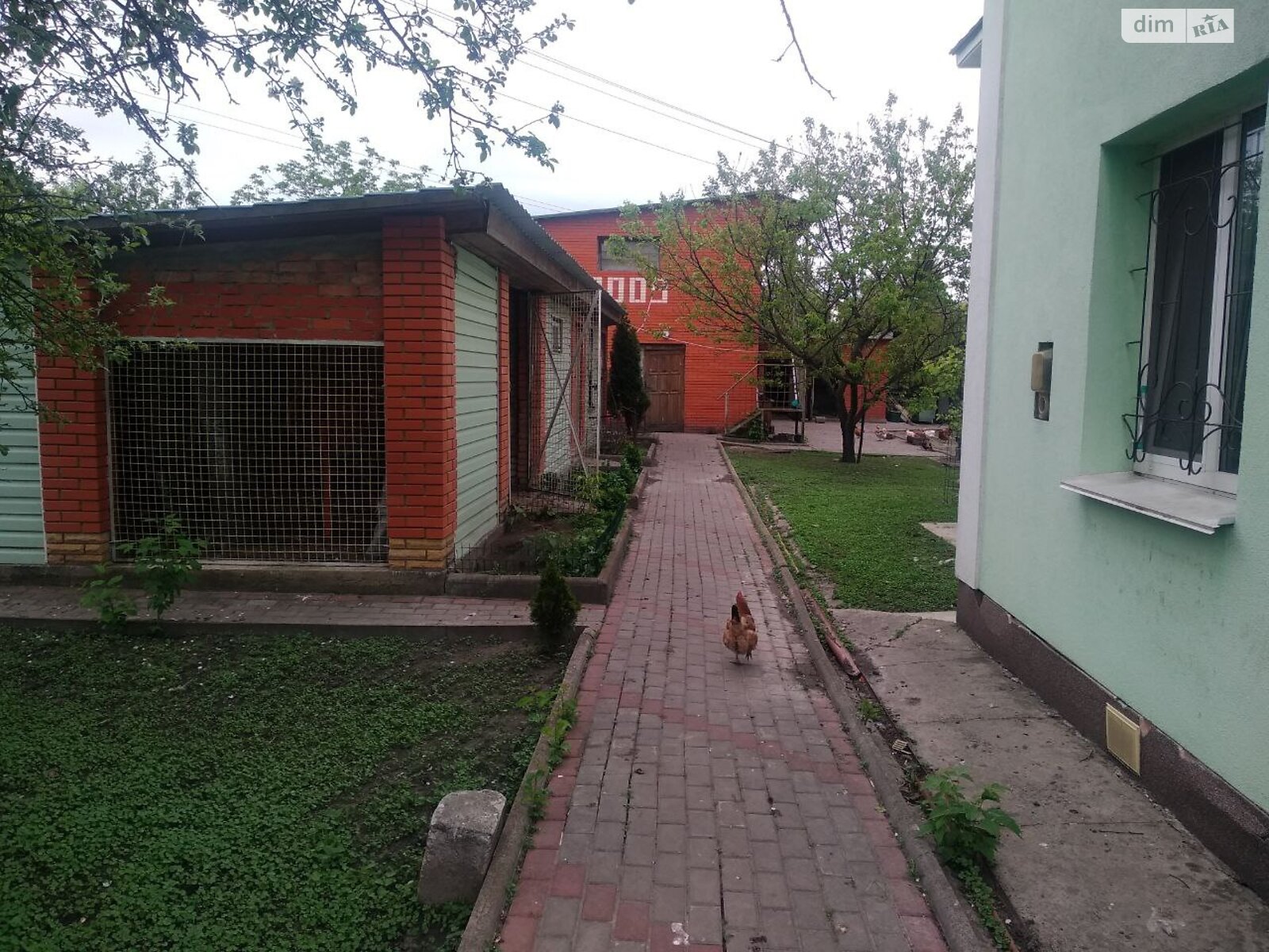 Земельна ділянка сільськогосподарського призначення в Червоне Поле, площа 40 соток фото 1 Земельна ділянка сільськогосподарського призначення в Червоне Поле, площа 40 соток фото 1