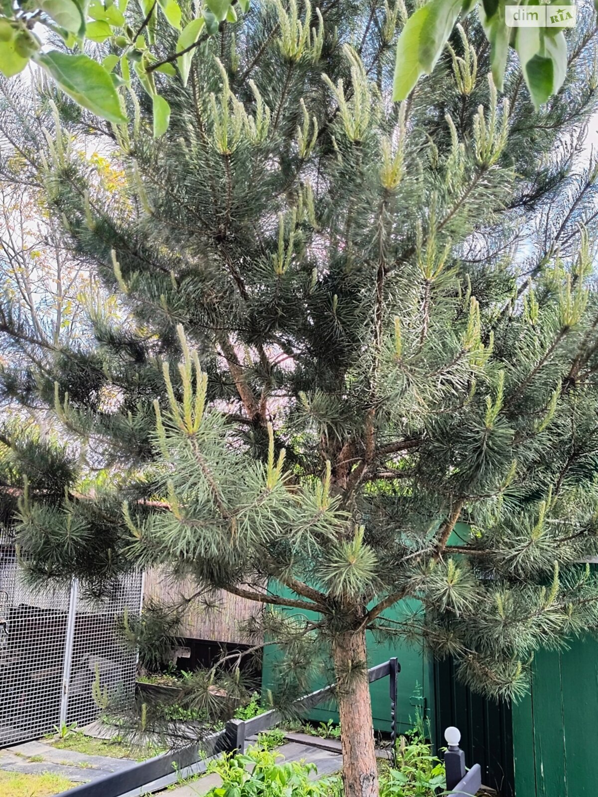 Земельный участок сельскохозяйственного назначения в Червонограде, площадь 12 соток фото 1 Земельный участок сельскохозяйственного назначения в Червонограде, площадь 12 соток фото 1
