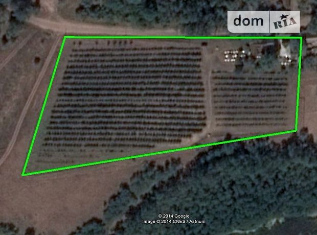 Продажа земли сельскохозяйственного назначения, Черкасская, Чигирин, c. Полудневка Продажа земли сельскохозяйственного назначения, Черкасская, Чигирин, c. Полудневка