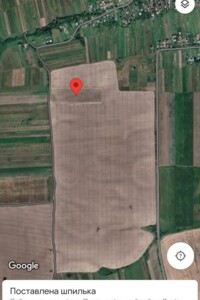 Земельна ділянка сільськогосподарського призначення в Чижикові, площа 251.01 сотки фото 2