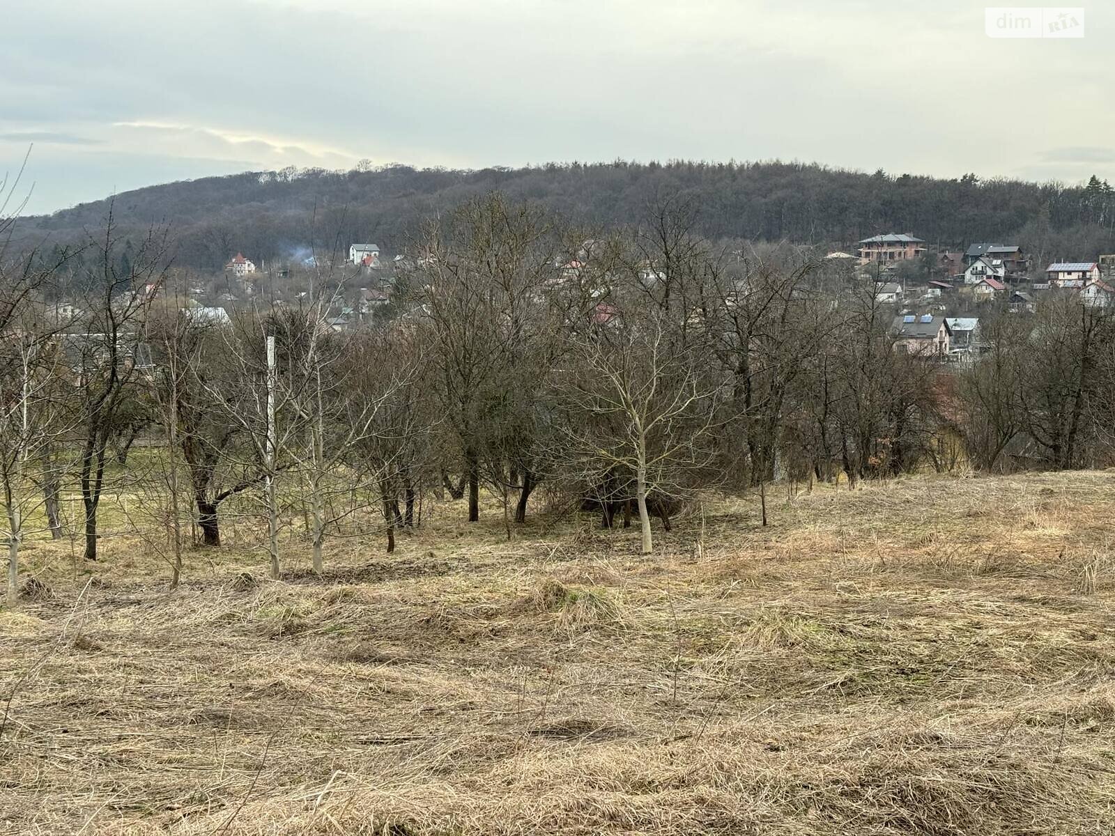 Земля сельскохозяйственного назначения в Чишках, площадь 0.3468 сотки фото 1