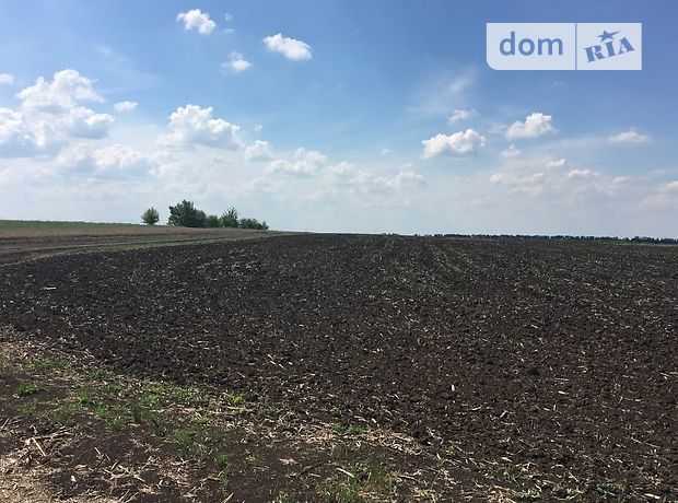 Продажа земли сельскохозяйственного назначения, Харьковская, Чугуев, c. Каменная Яруга Продажа земли сельскохозяйственного назначения, Харьковская, Чугуев, c. Каменная Яруга