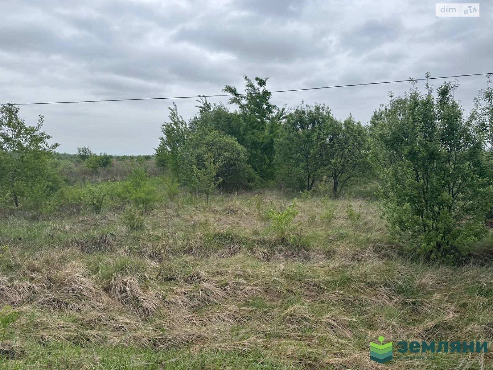 Земельна ділянка сільськогосподарського призначення в Чукалівці, площа 9.39 сотки фото 1 Земельна ділянка сільськогосподарського призначення в Чукалівці, площа 9.39 сотки фото 1