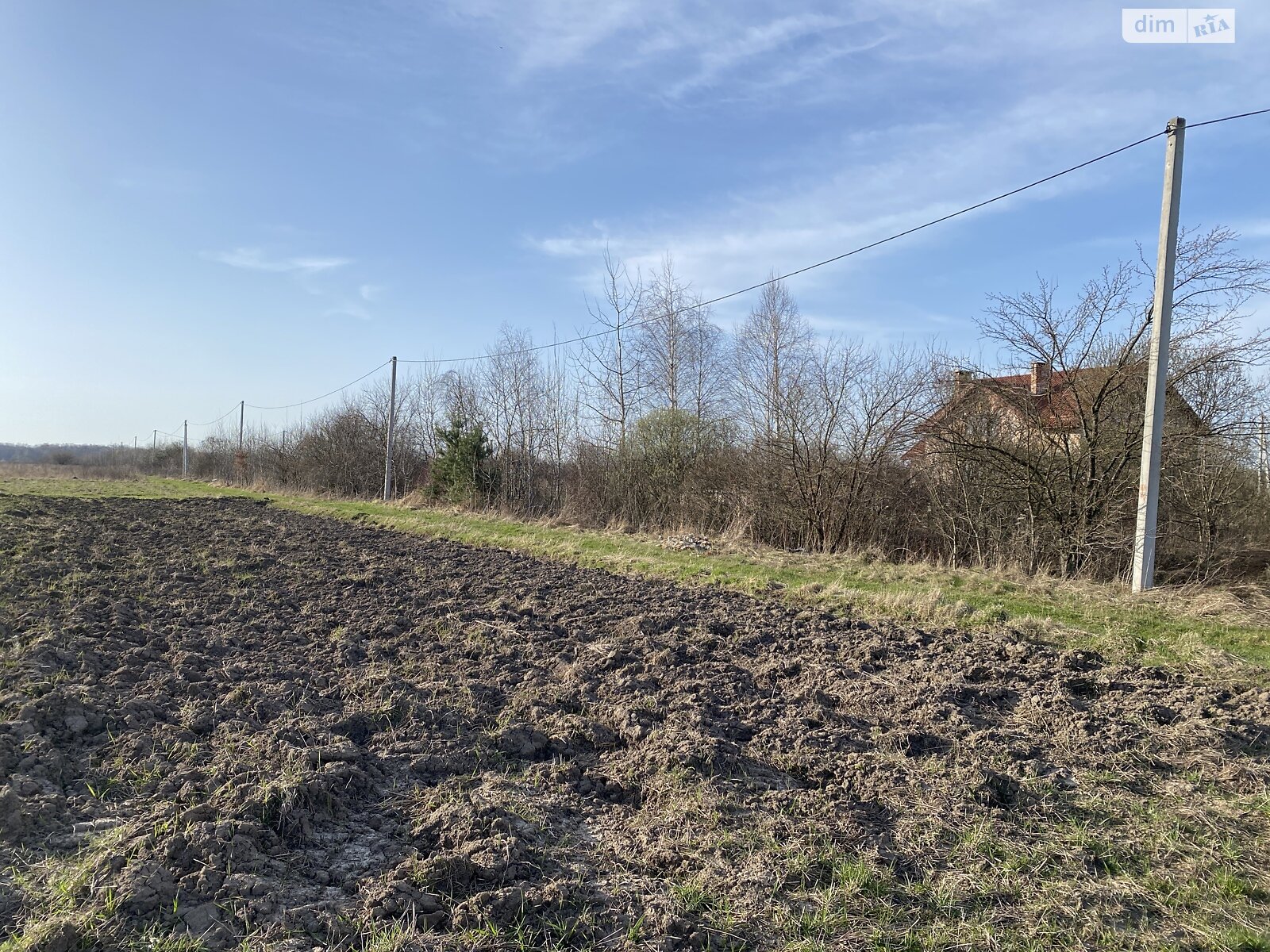 Земельна ділянка сільськогосподарського призначення в Чукалівці, площа 10.8 сотки фото 1