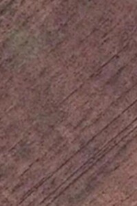 Земельный участок сельскохозяйственного назначения в Чутовке, площадь 2 Га фото 1 Земельный участок сельскохозяйственного назначения в Чутовке, площадь 2 Га фото 1