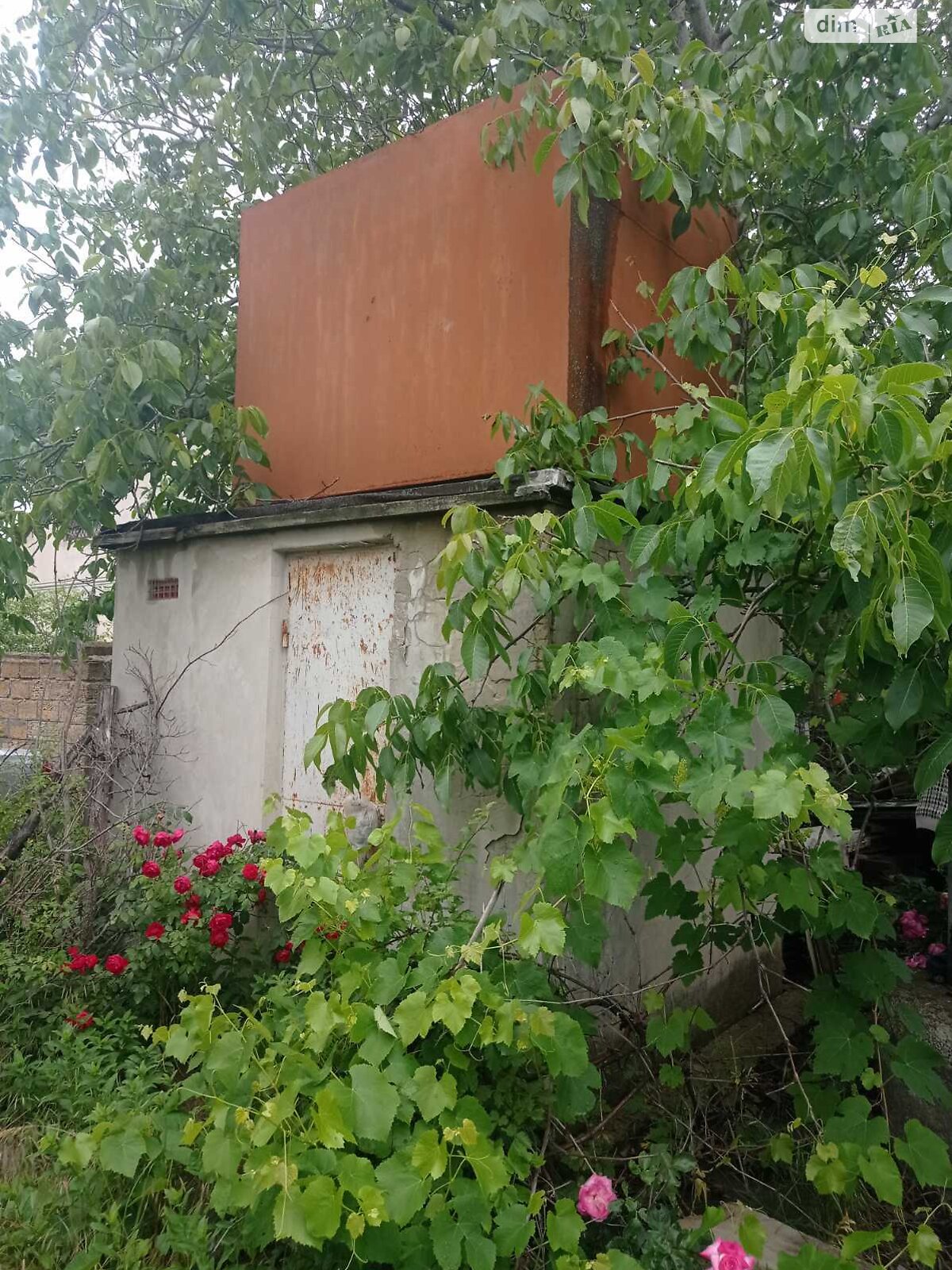 Земельный участок сельскохозяйственного назначения в Дачном, площадь 9 соток фото 1