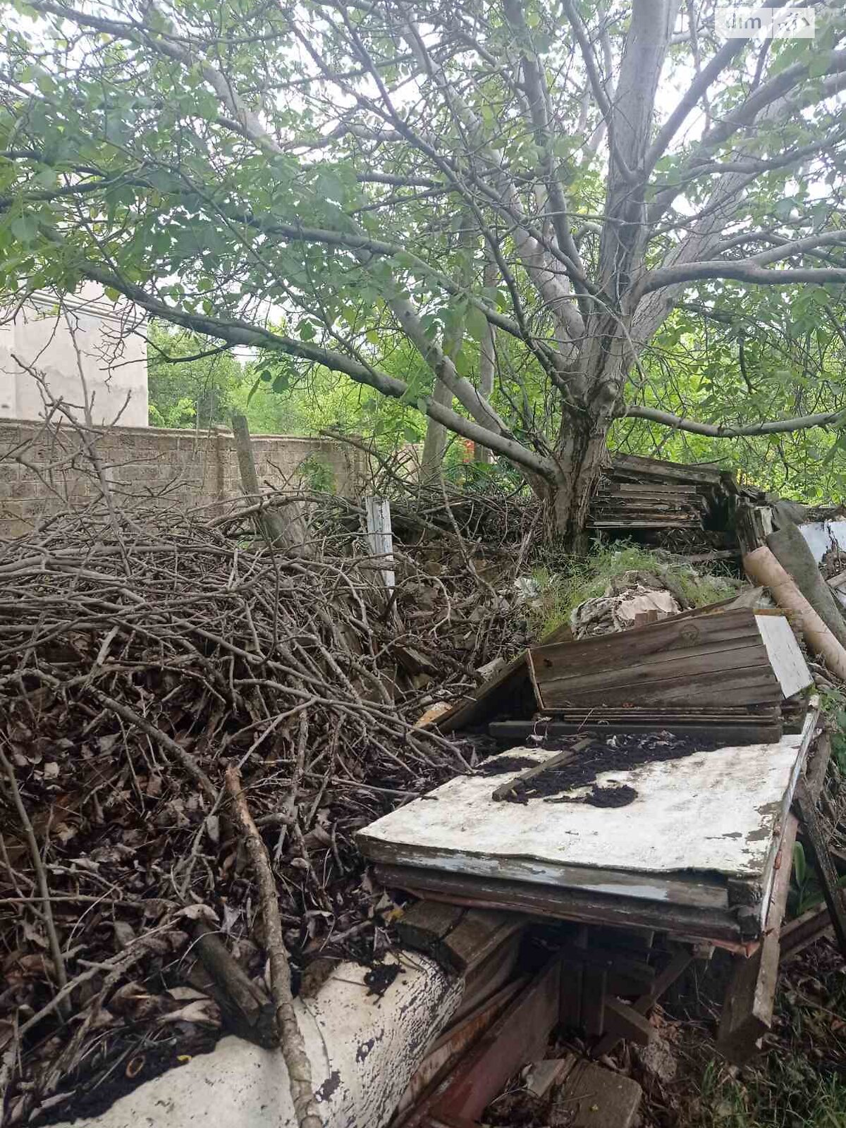 Земельна ділянка сільськогосподарського призначення в Дачному, площа 9 соток фото 1