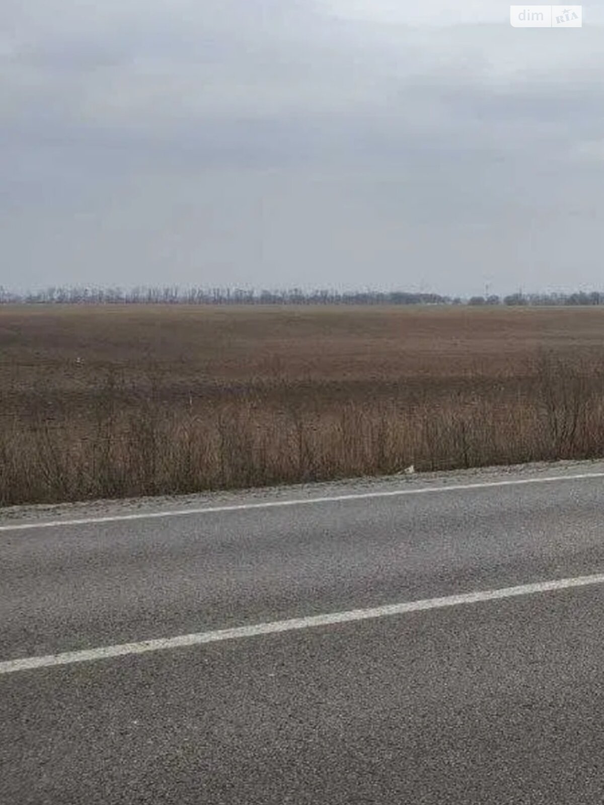 Земельный участок сельскохозяйственного назначения в Дальнике, площадь 3.4224 Га фото 1