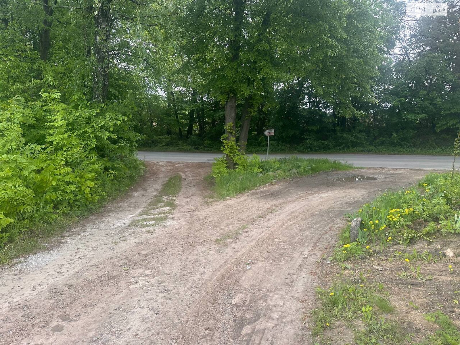 Земельна ділянка сільськогосподарського призначення в Давидківцях, площа 11 соток фото 1 Земельна ділянка сільськогосподарського призначення в Давидківцях, площа 11 соток фото 1