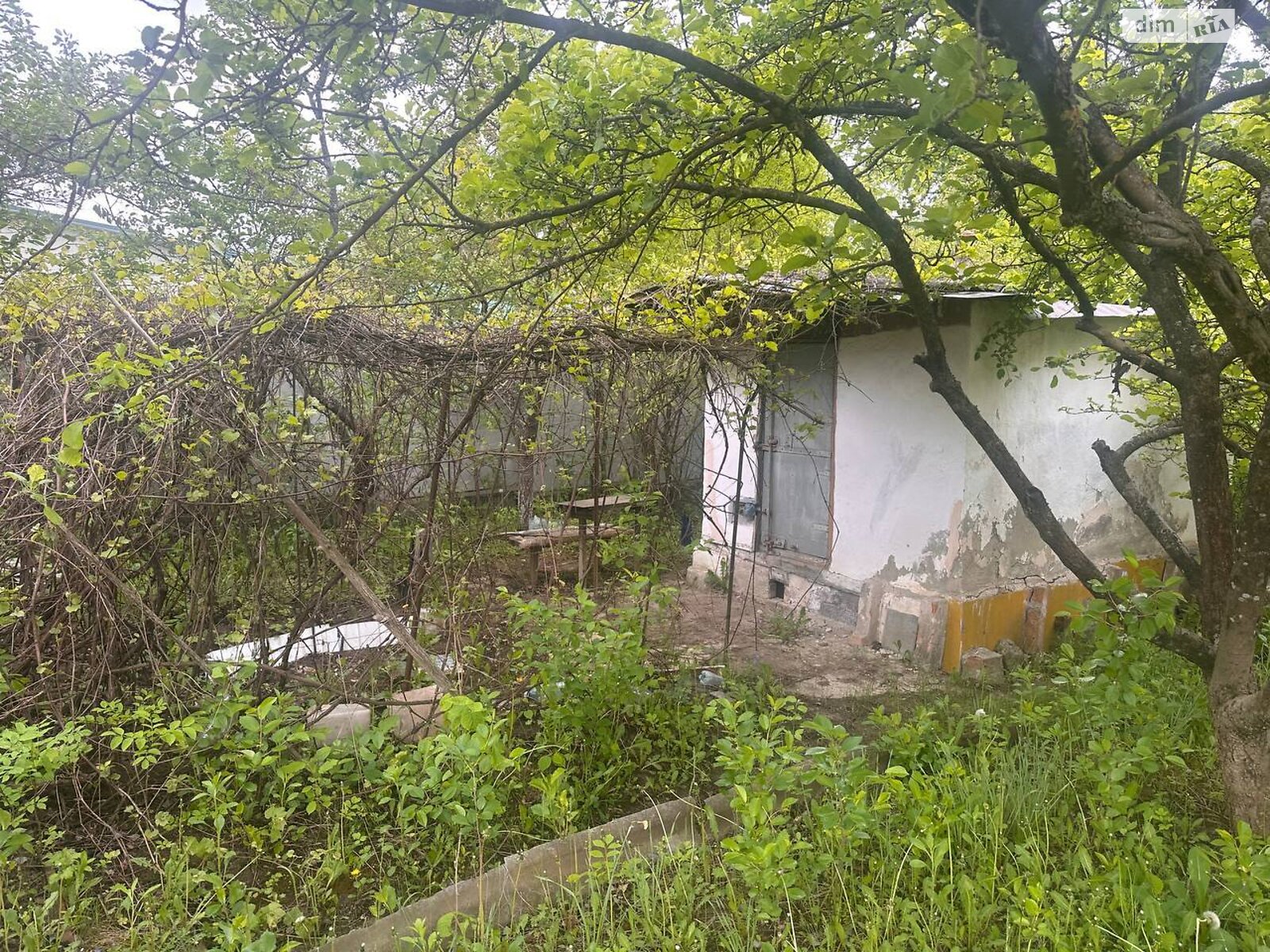 Земельна ділянка сільськогосподарського призначення в Давидківцях, площа 11 соток фото 1 Земельна ділянка сільськогосподарського призначення в Давидківцях, площа 11 соток фото 1
