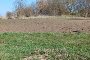 Земельна ділянка сільськогосподарського призначення в Давидківцях, площа 23.2 сотки фото 2