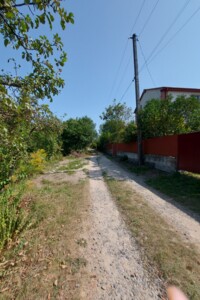 Земельна ділянка сільськогосподарського призначення в Давидківцях, площа 10 соток фото 2