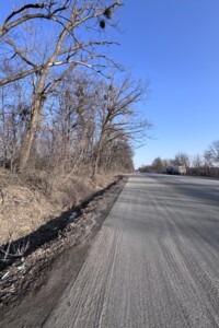Земельна ділянка сільськогосподарського призначення в Копистиному, площа 67.93 сотки фото 2