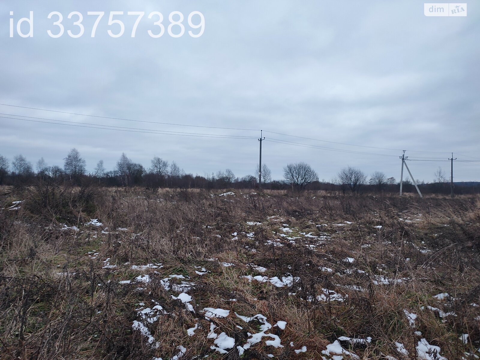 Земельный участок сельскохозяйственного назначения в Давыдове, площадь 10 соток фото 1