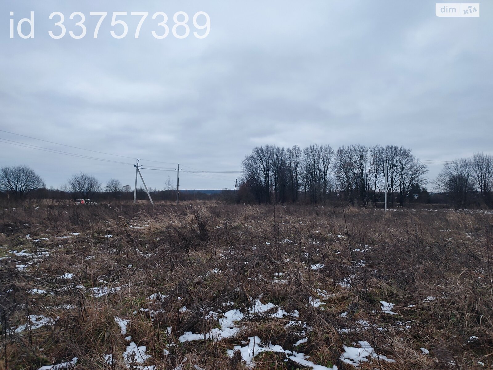 Земельный участок сельскохозяйственного назначения в Давыдове, площадь 10 соток фото 1