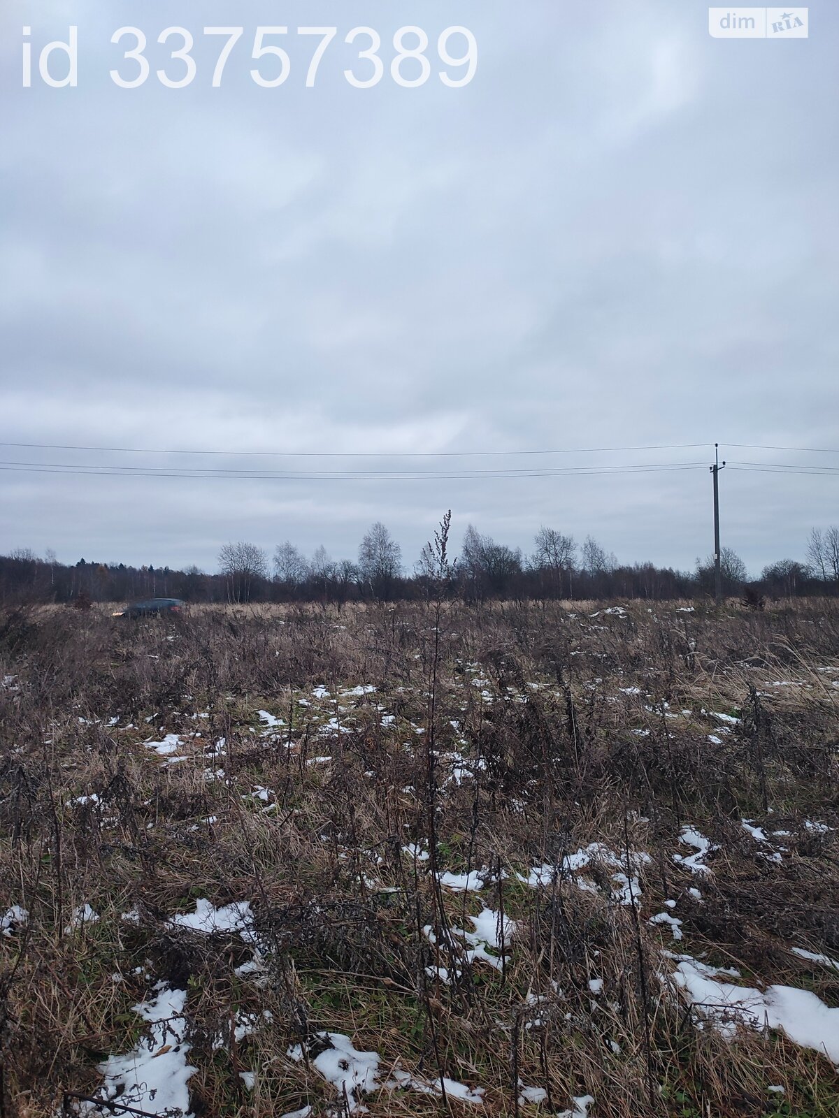 Земельный участок сельскохозяйственного назначения в Давыдове, площадь 10 соток фото 1
