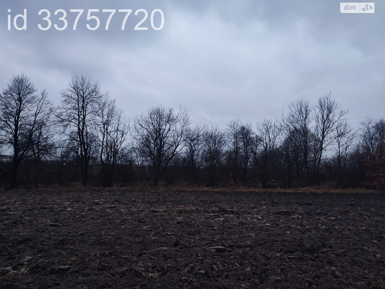 Земельный участок сельскохозяйственного назначения в Давыдове, площадь 10.02 сотки фото 1