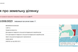 Земельна ділянка сільськогосподарського призначення в Демківцях, площа 1.2257 Га фото 1