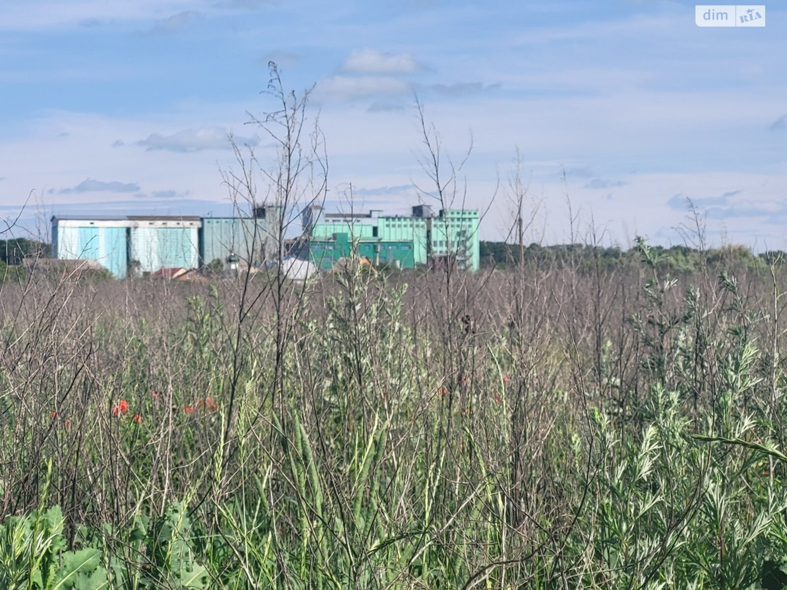Земельна ділянка сільськогосподарського призначення в Десні, площа 1.5 Га фото 1 Земельна ділянка сільськогосподарського призначення в Десні, площа 1.5 Га фото 1