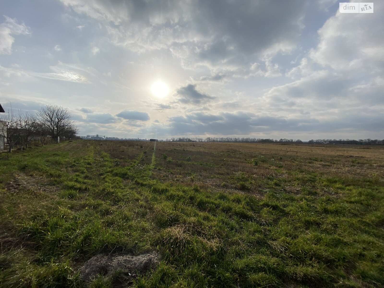 Земельный участок сельскохозяйственного назначения в Десне, площадь 181 сотка фото 1 Земельный участок сельскохозяйственного назначения в Десне, площадь 181 сотка фото 1