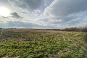 Земельный участок сельскохозяйственного назначения в Десне, площадь 181 сотка фото 2 Земельный участок сельскохозяйственного назначения в Десне, площадь 181 сотка фото 2