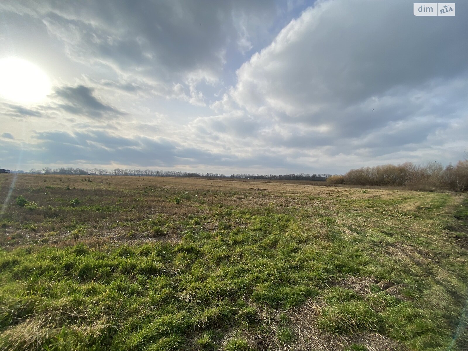 Земельный участок сельскохозяйственного назначения в Десне, площадь 181 сотка фото 1 Земельный участок сельскохозяйственного назначения в Десне, площадь 181 сотка фото 1