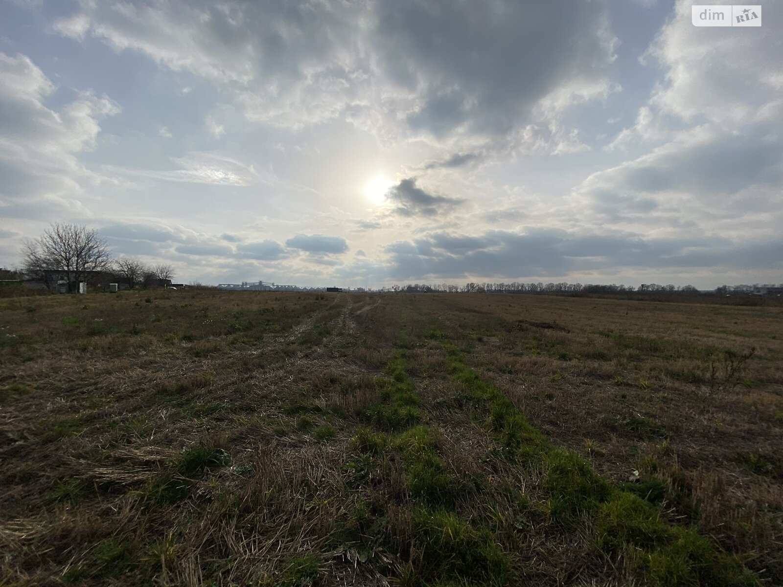 Земельный участок сельскохозяйственного назначения в Десне, площадь 181 сотка фото 1 Земельный участок сельскохозяйственного назначения в Десне, площадь 181 сотка фото 1