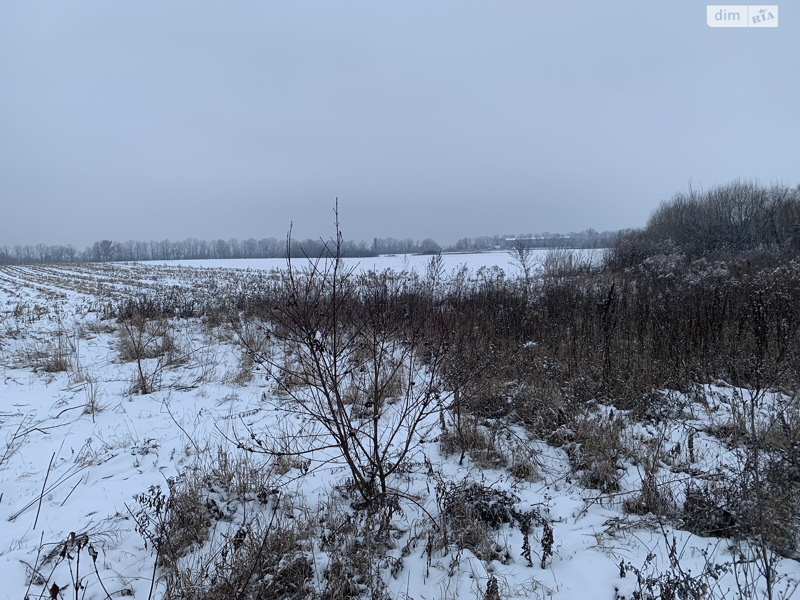 Земельна ділянка сільськогосподарського призначення в Десні, площа 27 соток фото 1