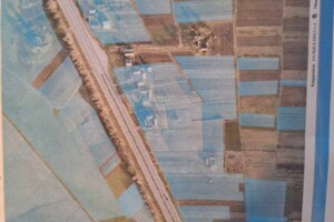 Земельна ділянка сільськогосподарського призначення в Дубрівці, площа 12 соток фото 1