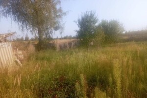 Земельный участок сельскохозяйственного назначения в Дитятках, площадь 35 соток фото 2