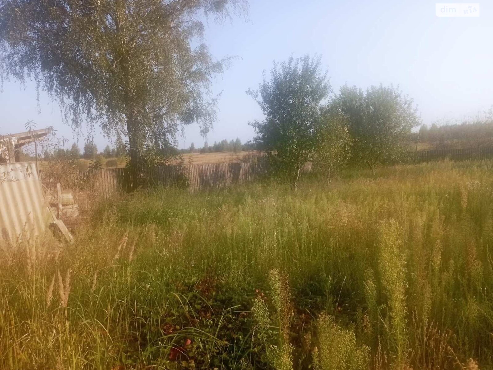 Земельный участок сельскохозяйственного назначения в Дитятках, площадь 35 соток фото 1