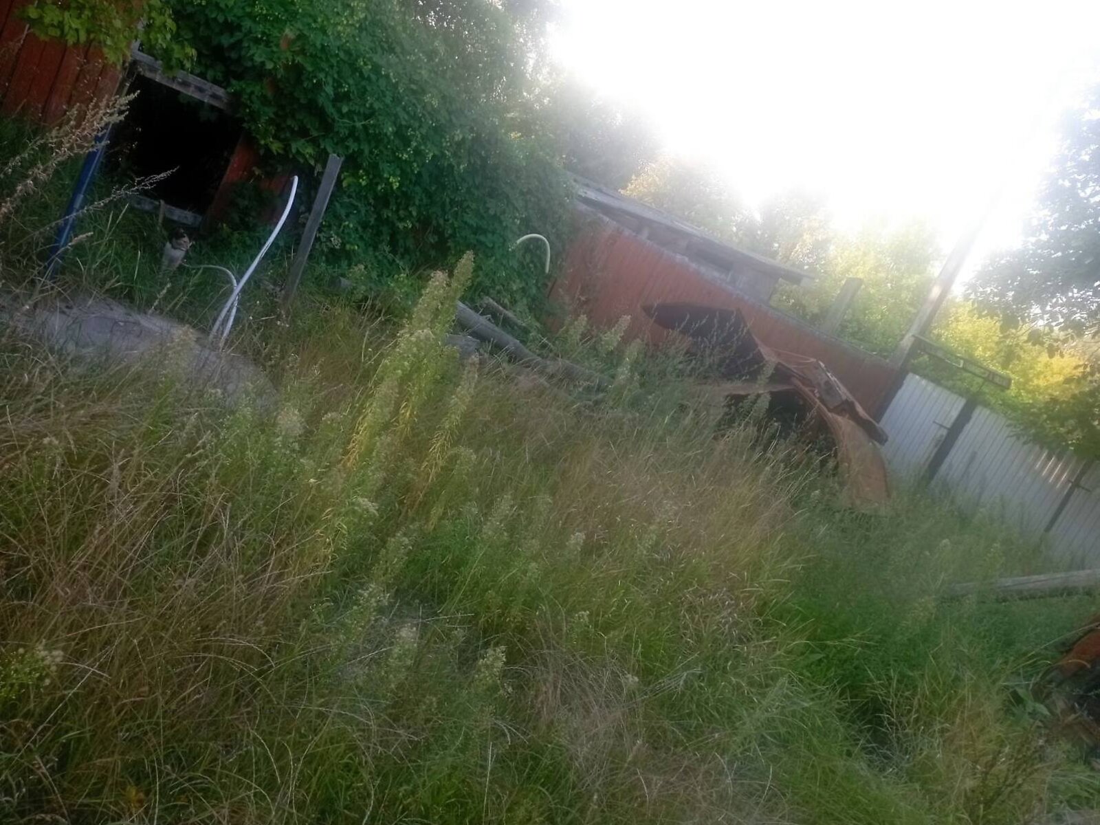 Земельный участок сельскохозяйственного назначения в Дитятках, площадь 35 соток фото 1