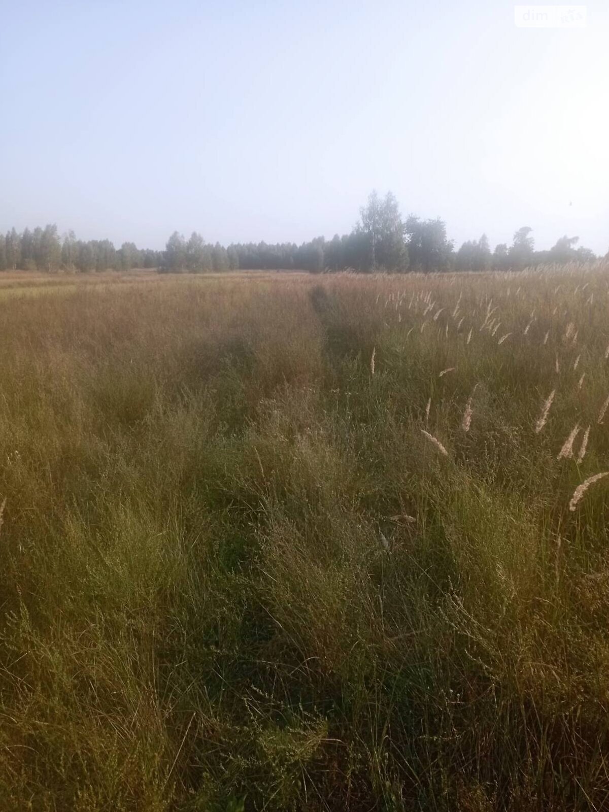 Земельный участок сельскохозяйственного назначения в Дитятках, площадь 35 соток фото 1